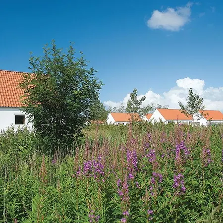 Skagen *vi * *